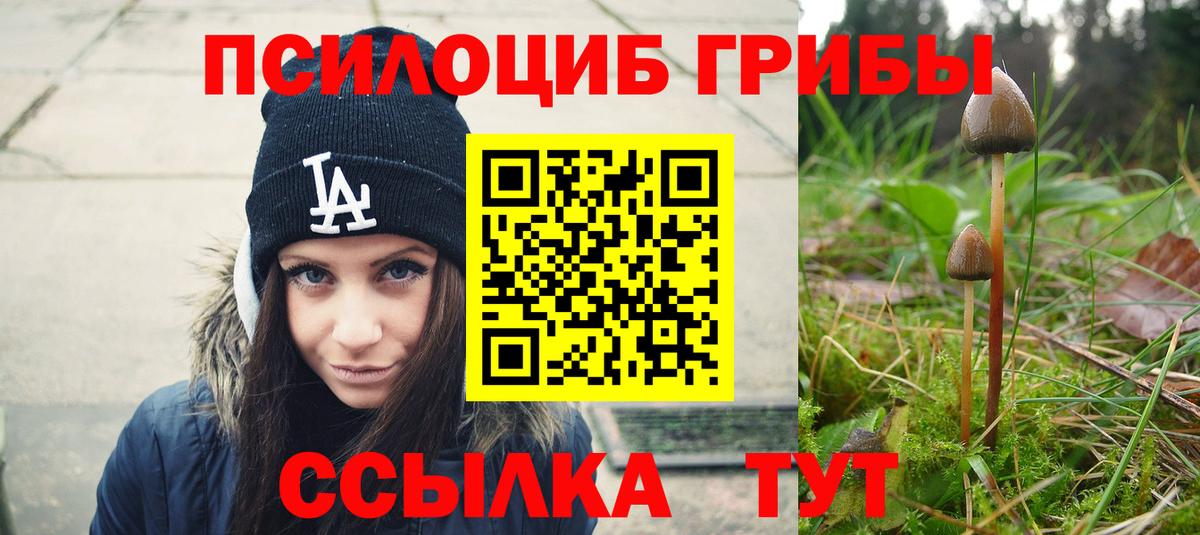 Галлюциногенные грибы ЛСД Тельмана