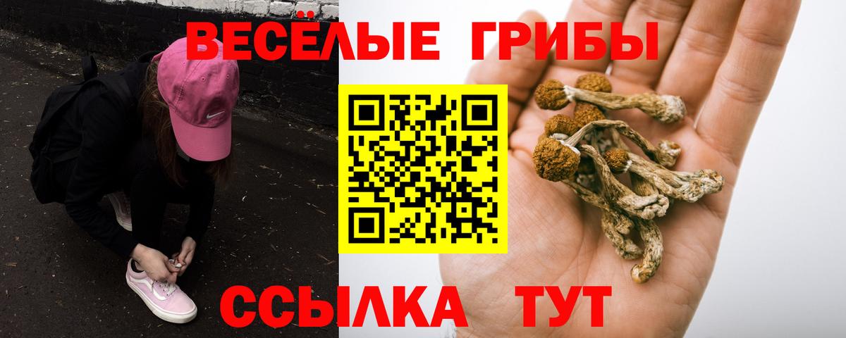Псилоцибиновые грибы Magic Shrooms  Вход с VPN  Тельмана 